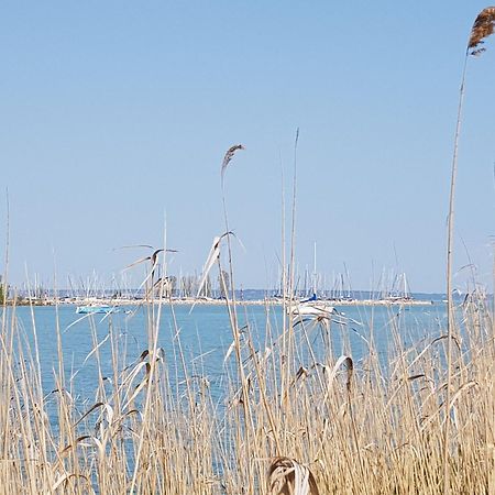 Coastline Balaton Apartment Alsoors Luaran gambar